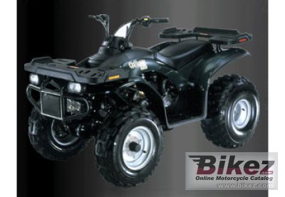 2012 E-Ton Challenger CXL-150 photo